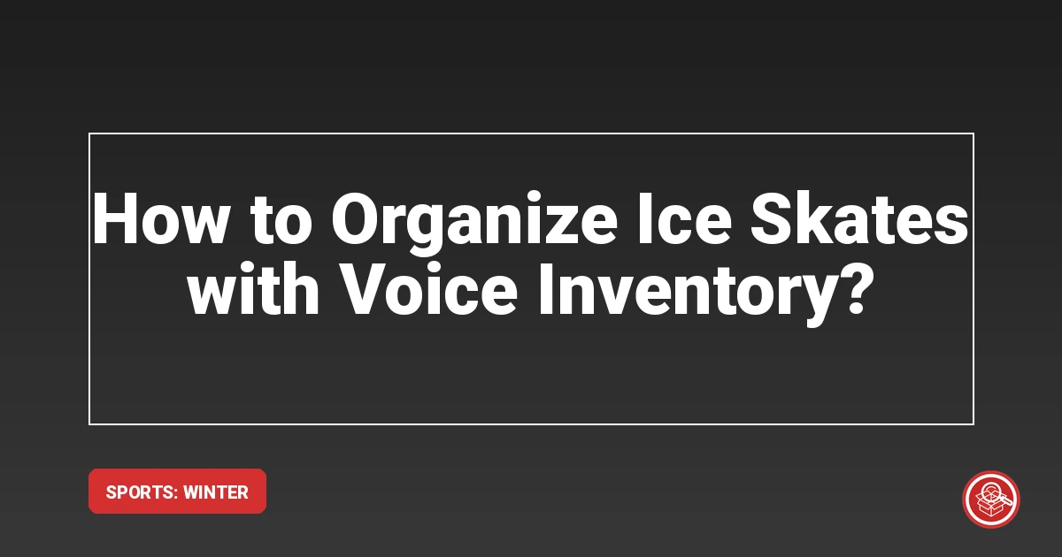 How to Organize Ice Skates with Voice Inventory? - SmartStow Blog